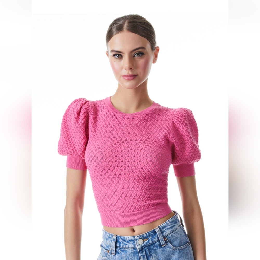 NWOT Alice + Olivia RISA PUFF SLEEVE POINTELLE PULLOVER in French Rose